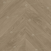 Изображение Дуб Милкшейк