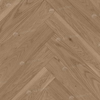 Изображение Дуб Амаретти