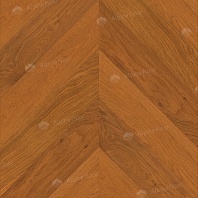 Изображение Дуб Имбирный