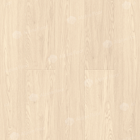 Изображение Новинки