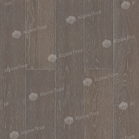 Изображение VILLA