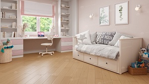 Изображение Дуб Шампань