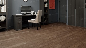 Изображение Дуб Терра